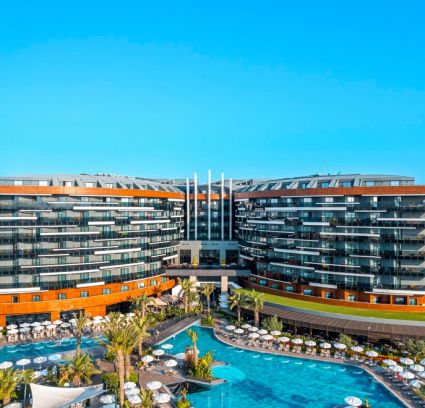 Calyptus Kirman Premium